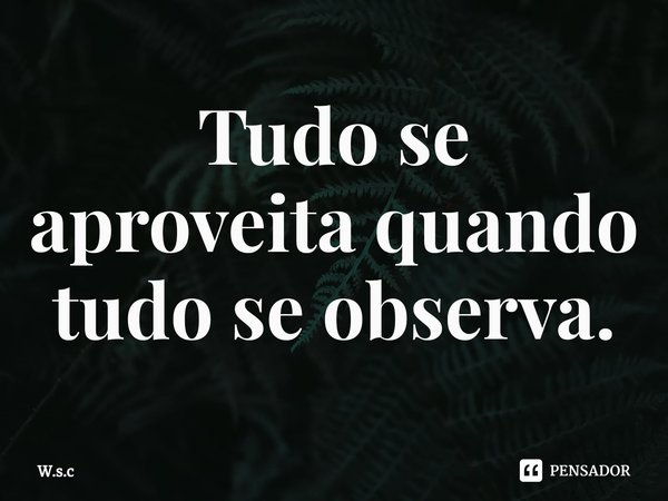 Tudo se aproveita quando tudo se observa⁠.... Frase de W.s.c.