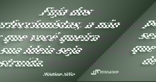 Fuja dos perfeccionistas, a não ser que você queira que sua ideia seja destruída.... Frase de Wudson Silva.