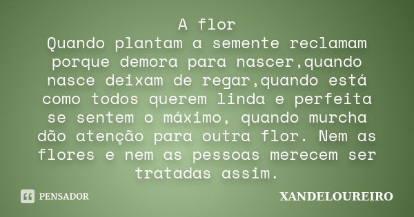 A flor Quando plantam a semente reclamam porque demora para nascer,quando nasce deixam de regar,quando está como todos querem linda e perfeita se sentem o máxim... Frase de Xandeloureiro.