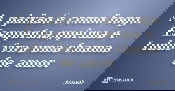A paixão é como fogo. Esquenta,queima e tudo vira uma chama de amor... Frase de Xonado.