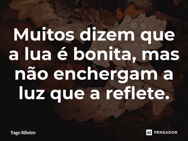 ⁠Muitos dizem que a lua é bonita, mas não enchergam a luz que a reflete.... Frase de Yago Ribeiro.