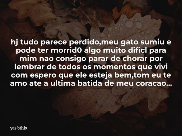 hj tudo parece perdido,meu gato sumiu e pode ter morrid0 algo muito dificl para mim nao consigo parar de chorar por lembrar de todos os momentos que vivi com es... Frase de yas bthis.