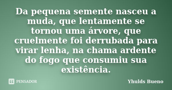 Da pequena semente nasceu a muda, que lentamente se tornou uma árvore, que cruelmente foi derrubada para virar lenha, na chama ardente do fogo que consumiu sua ... Frase de Yhulds Bueno.