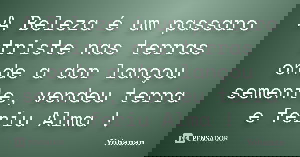 A Beleza é um passaro triste nas terras onde a dor lançou semente, vendeu terra e feriu Alma !... Frase de Yohanan.