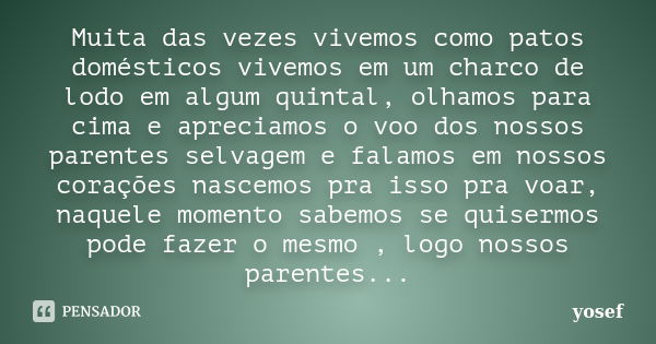 Muita das vezes vivemos como patos domésticos vivemos em um charco de lodo em algum quintal, olhamos para cima e apreciamos o voo dos nossos parentes selvagem e... Frase de yosef.