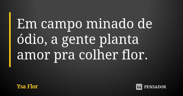 Em campo minado de ódio, a gente planta amor pra colher flor. 💕... Frase de Ysa Flor.