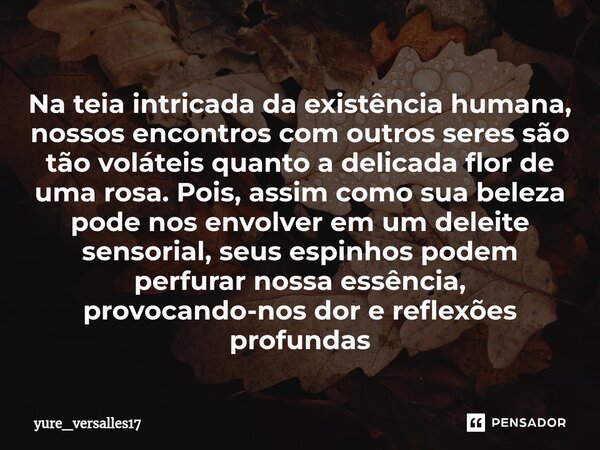 ⁠Na teia intricada da existência humana, nossos encontros com outros seres são tão voláteis quanto a delicada flor de uma rosa. Pois, assim como sua beleza pode... Frase de yure_versalles17.