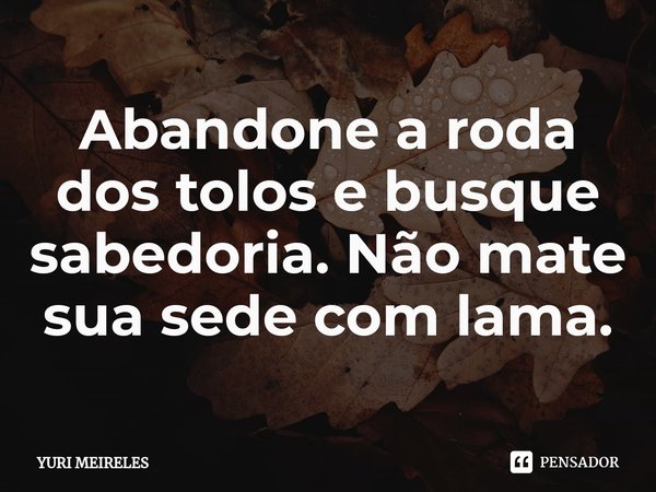 Abandone a roda dos tolos e busque sabedoria. Não mate sua sede com lama.... Frase de Yuri Meireles.