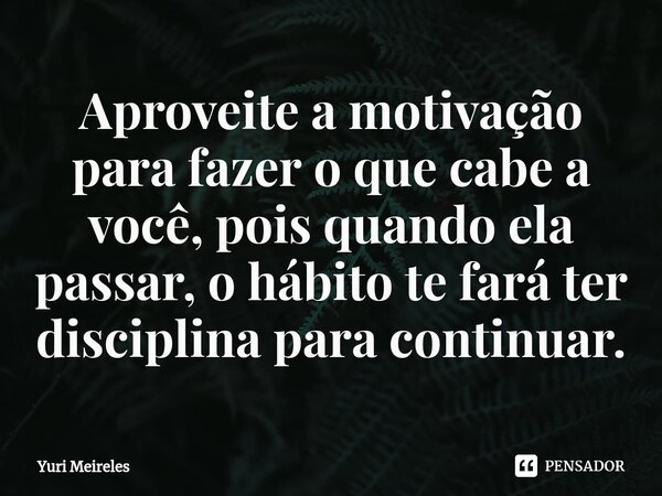 ⁠Aproveite a motivação para fazer o que cabe a você, pois quando ela passar, o hábito te fará ter disciplina para continuar.... Frase de Yuri Meireles.