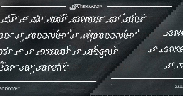 Eu e tu não somos só dois somos o possível o impossível o correto e o errado o desejo o ficar ou partir.... Frase de zabarbone.