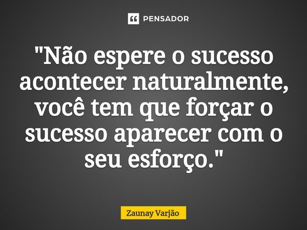 "Não espere o sucesso acontecer naturalmente, você tem que forçar o sucesso aparecer com o seu esforço."... Frase de Zaunay Varjão.