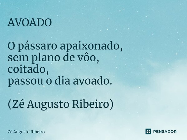 ⁠AVOADO O pássaro apaixonado, sem plano de vôo, coitado, passou o dia avoado. (Zé Augusto Ribeiro)... Frase de Zé Augusto Ribeiro.