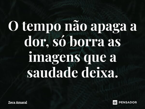 ⁠O tempo não apaga a dor, só borra as imagens que a saudade deixa.... Frase de Zeca Amaral.