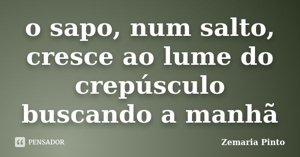 o sapo, num salto,
cresce ao lume do crepúsculo
buscando a manhã... Frase de Zemaria Pinto.