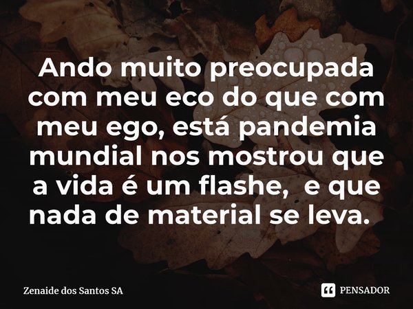 Ando muito preocupada com meu eco do que com meu ego, está pandemia mundial nos mostrou que a vida é um flashe, e que nada de material se leva. ⁠... Frase de Zenaide dos Santos SA.