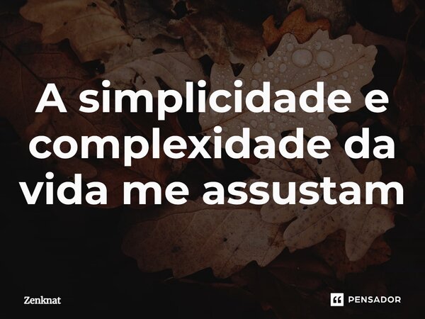 ⁠A simplicidade e complexidade da vida me assustam... Frase de Zenknat.