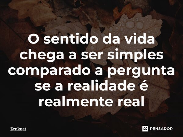 ⁠O sentido da vida chega a ser simples comparado a pergunta se a realidade é realmente real... Frase de Zenknat.