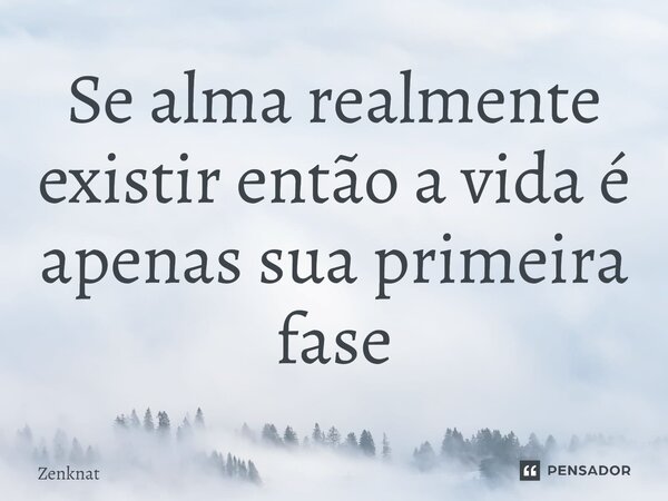 ⁠Se alma realmente existir então a vida é apenas sua primeira fase... Frase de Zenknat.