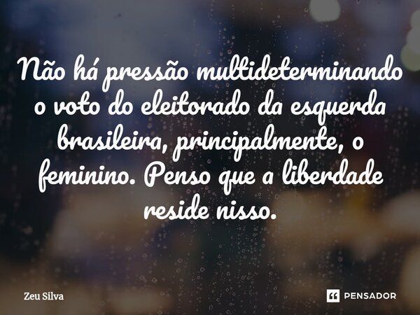 ⁠Não há pressão multideterminando o voto do eleitorado da esquerda brasileira, principalmente, o feminino. Penso que a liberdade reside nisso.... Frase de Zeu Silva.