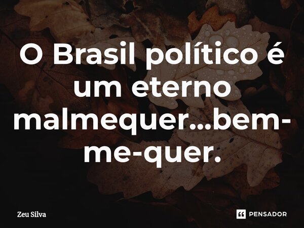 ⁠O Brasil político é um eterno malmequer...bem-me-quer.... Frase de Zeu Silva.