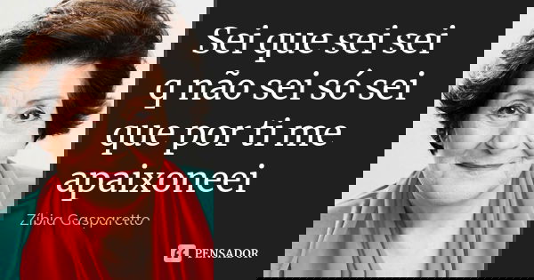Sei que sei sei q não sei só sei que por ti me apaixoneei... Frase de Zibia gasparetto.