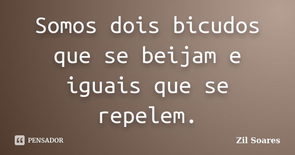 Somos dois bicudos que se beijam e iguais que se repelem.... Frase de Zil Soares.