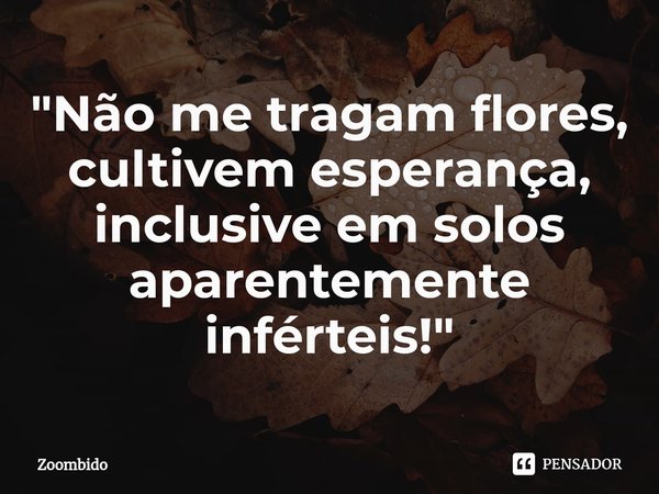 ⁠"Não me tragam flores, cultivem esperança, inclusive em solos aparentemente inférteis!"... Frase de Zoombido.