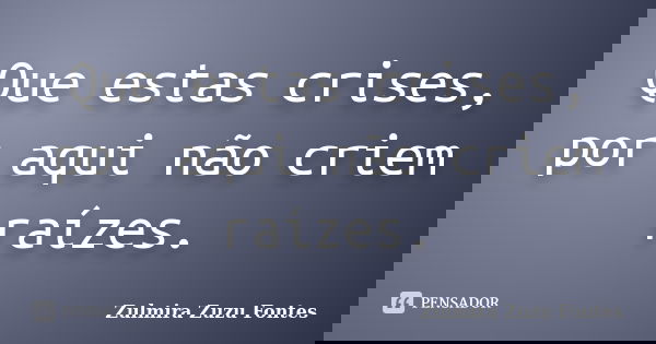Que estas crises, por aqui não criem raízes.... Frase de Zulmira Zuzu Fontes.