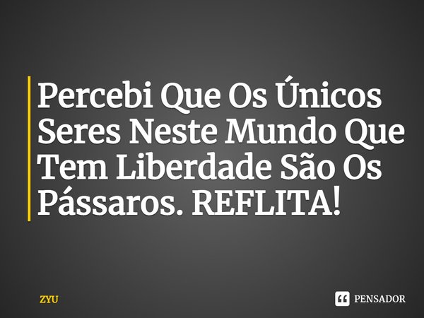 ⁠Percebi Que Os Únicos Seres Neste Mundo Que Tem Liberdade São Os Pássaros. REFLITA!... Frase de ZYU.