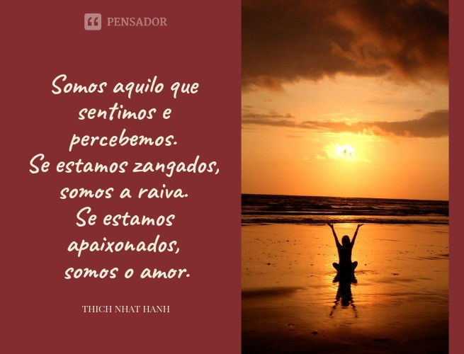 Somos aquilo que sentimos e percebemos. Se estamos zangados, somos a raiva. Se estamos apaixonados, somos o amor. Thich Nhat Hanh