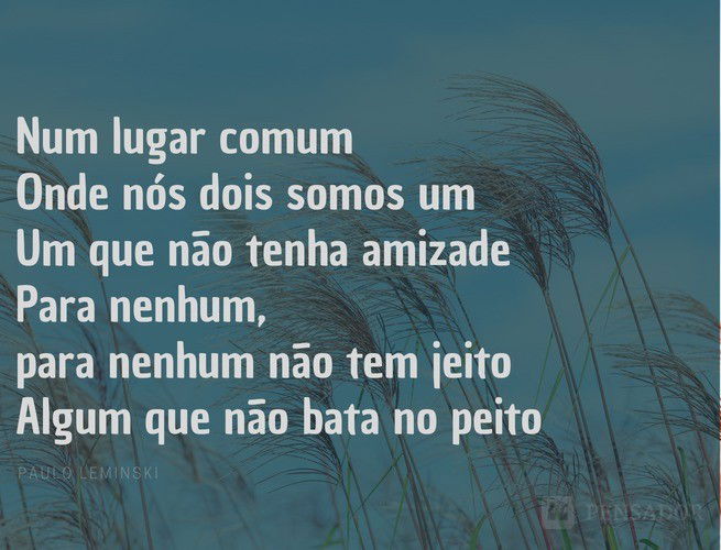 Os Melhores Poemas Para Se Apaixonar Por Paulo Leminski Pensador