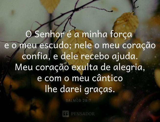 O Senhor é a minha força e o meu escudo;  nele o meu coração confia, e dele recebo ajuda.  Meu coração exulta de alegria,  e com o meu cântico lhe darei graças.  Salmos 28:7