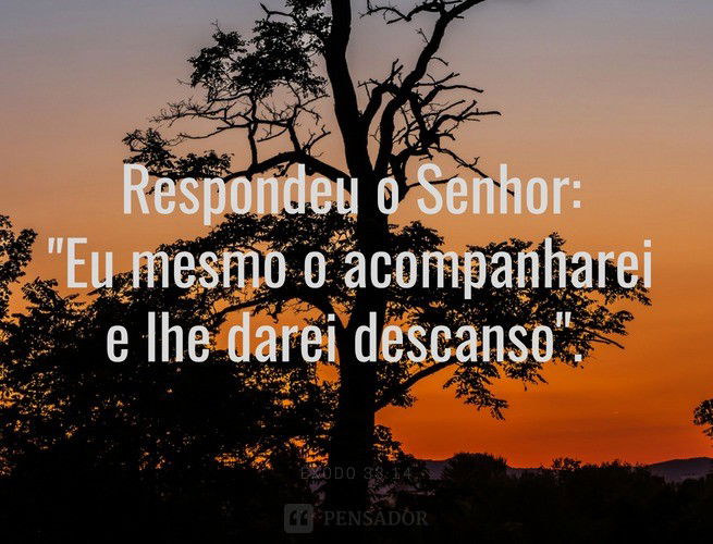 imagens com frases de boa noite