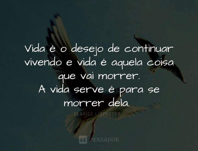 Não sei lidar com pontos finais, Clarice Lispector - Pensador