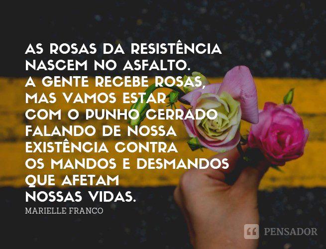 As rosas da resistência nascem no asfalto.