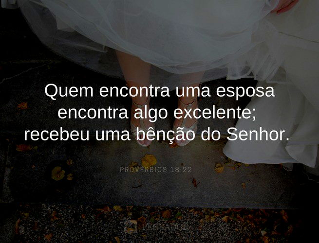 Quem encontra uma esposa encontra algo excelente; recebeu uma bênção do Senhor.  Provérbios 18:22