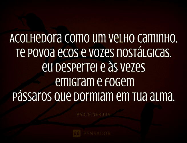 Acolhedora como um velho caminho. Te povoa ecos e vozes nostálgicas. eu despertei e às vezes emigram e fogem pássaros que dormiam em tua alma. Pablo Neruda.