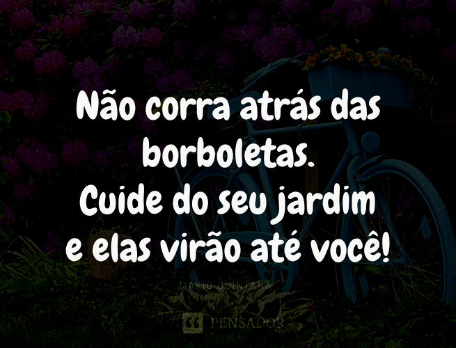 atitudes pelas quais você não deveria pedir desculpa