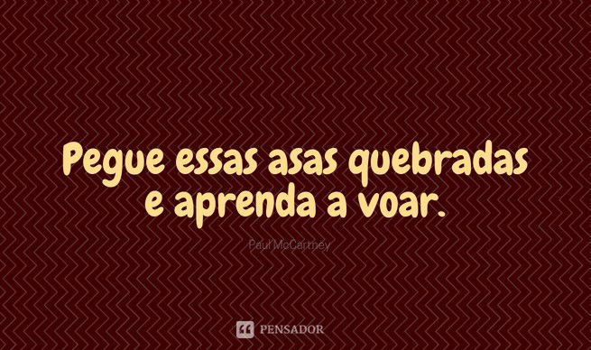 Pegue essas asas quebradas e aprenda a voar.