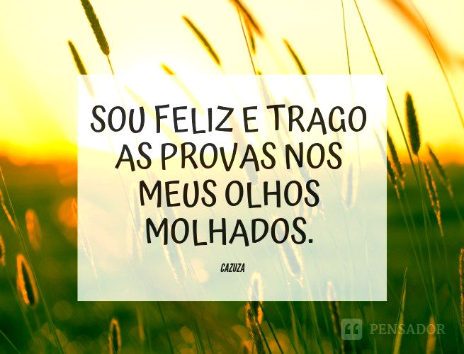 frase de cazuza