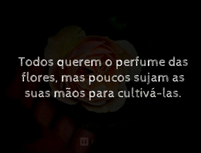 frases de reciprocidade