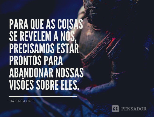 Para que as coisas se revelem a nós, precisamos estar prontos para abandonar nossas visões sobre eles. Thich Nhat Hanh