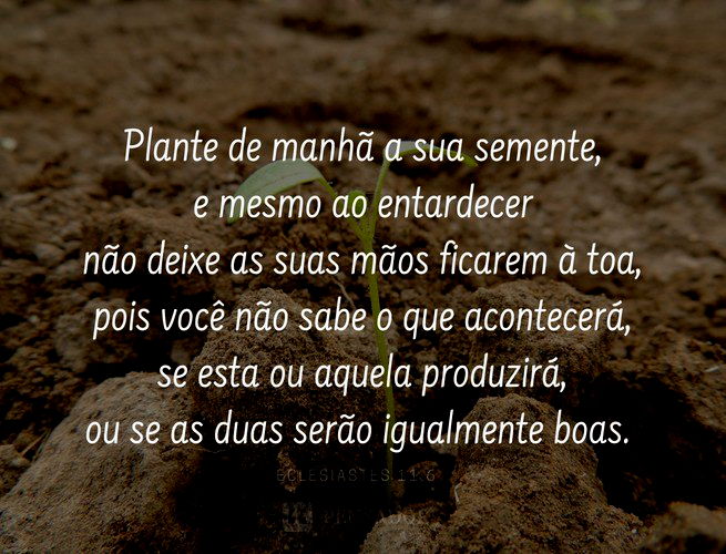 Plante de manhã a sua semente, e mesmo ao entardecer não deixe as suas mãos ficarem à toa, pois você não sabe o que acontecerá, se esta ou aquela produzirá, ou se as duas serão igualmente boas.  Eclesiastes 11:6