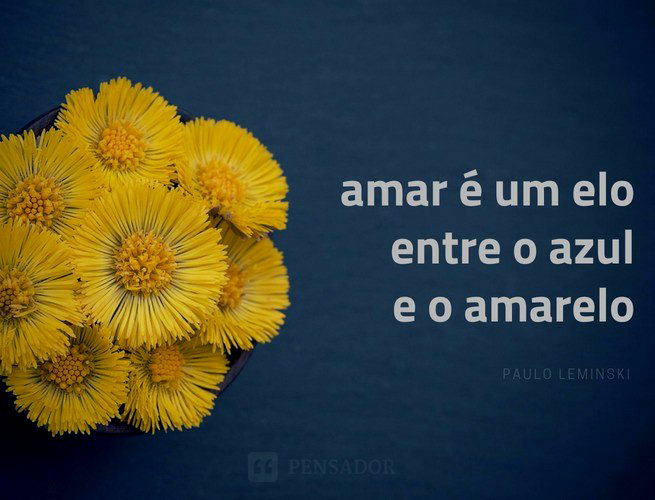 Amar é um elo entre o azul e o amarelo Paulo Leminski - Pensador