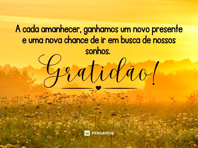 A cada amanhecer, ganhamos um novo presente e uma nova chance de ir em busca de nossos sonhos. Gratidão!