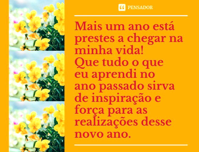 Mais um ano está prestes a chegar na minha vida! Que tudo o que eu aprendi no ano passado sirva de inspiração e força para as realizações desse novo ano.