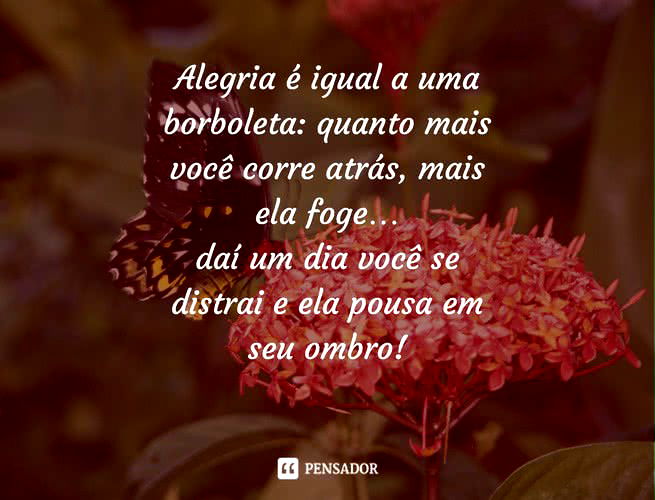 Alegria é igual a uma borboleta: quanto mais você corre atrás, mais ela foge… daí um dia você se distrai e ela pousa em seu ombro!