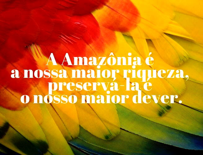 A Amazônia é a nossa maior riqueza, preservá-la é o nosso maior dever.