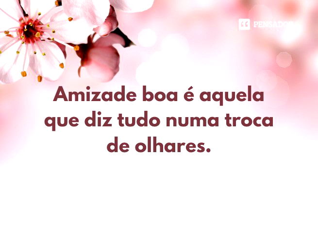 Amizade boa é aquela que diz tudo numa troca de olhares.