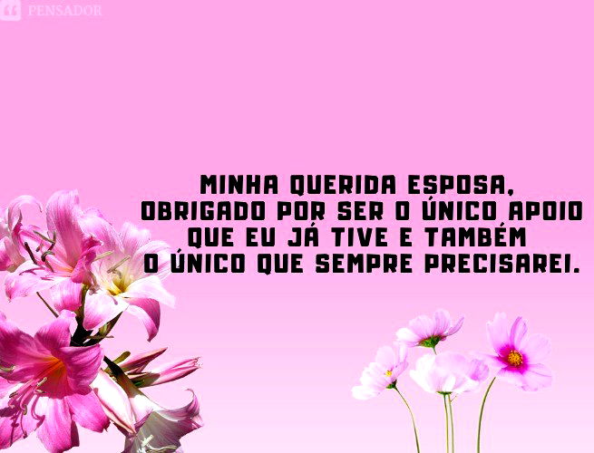 Minha querida esposa, obrigado por ser o único apoio que eu já tive e também o único que sempre precisarei.